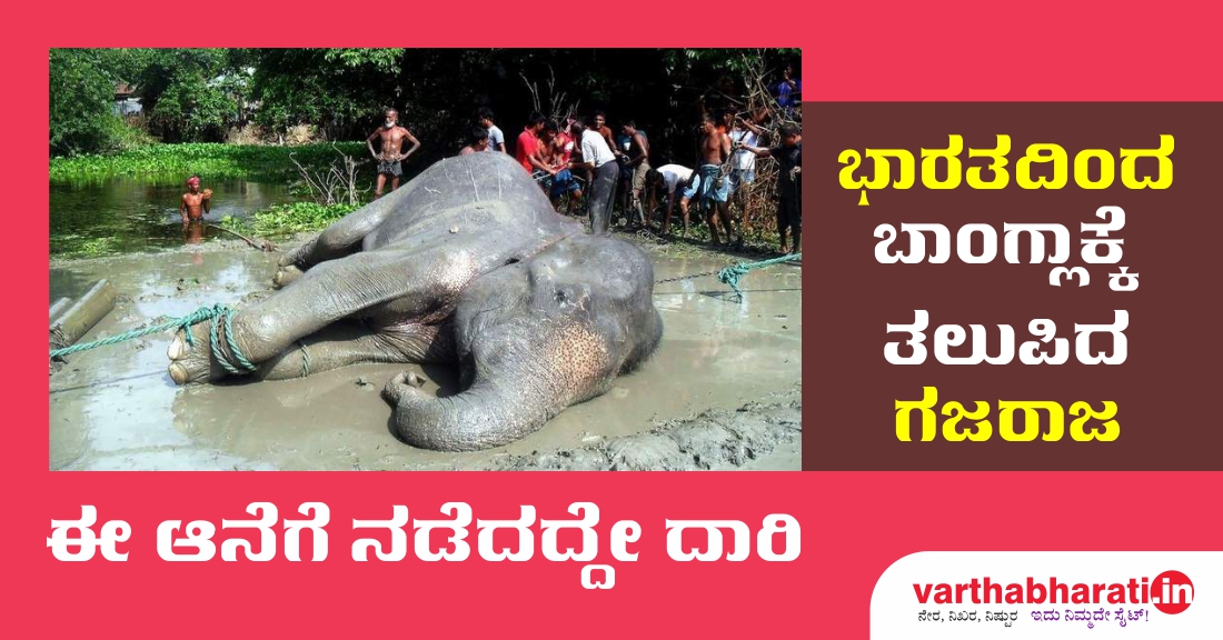 ಭಾರತದಿಂದ ಬಾಂಗ್ಲಾಕ್ಕೆ ತಲುಪಿದ ಗಜರಾಜ